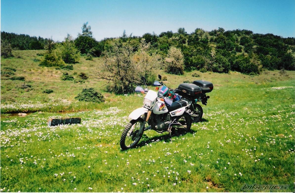 Bike Photo 457839