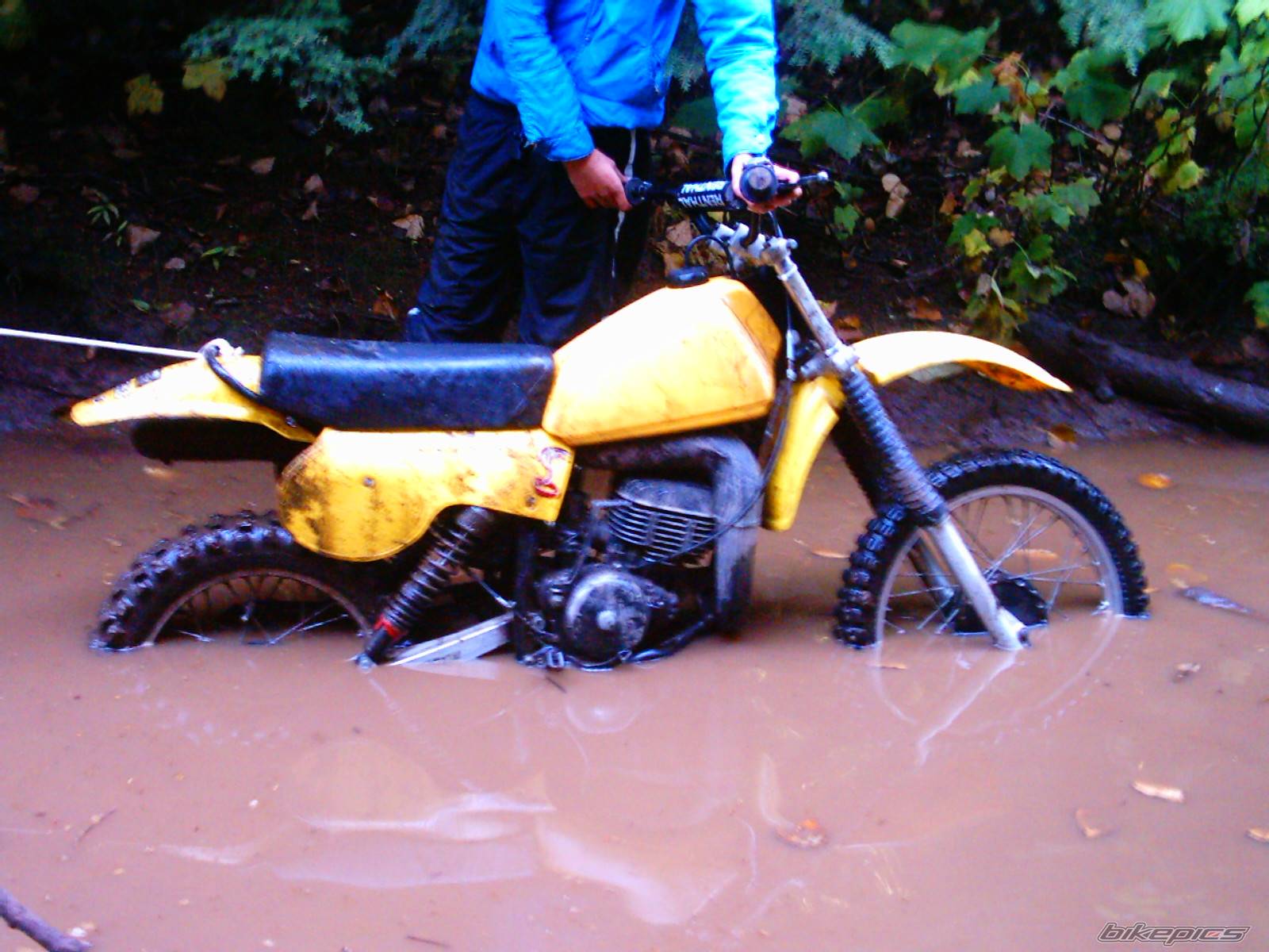 Photo 457852