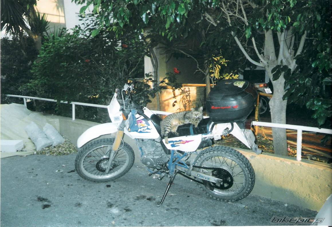Photo 457860