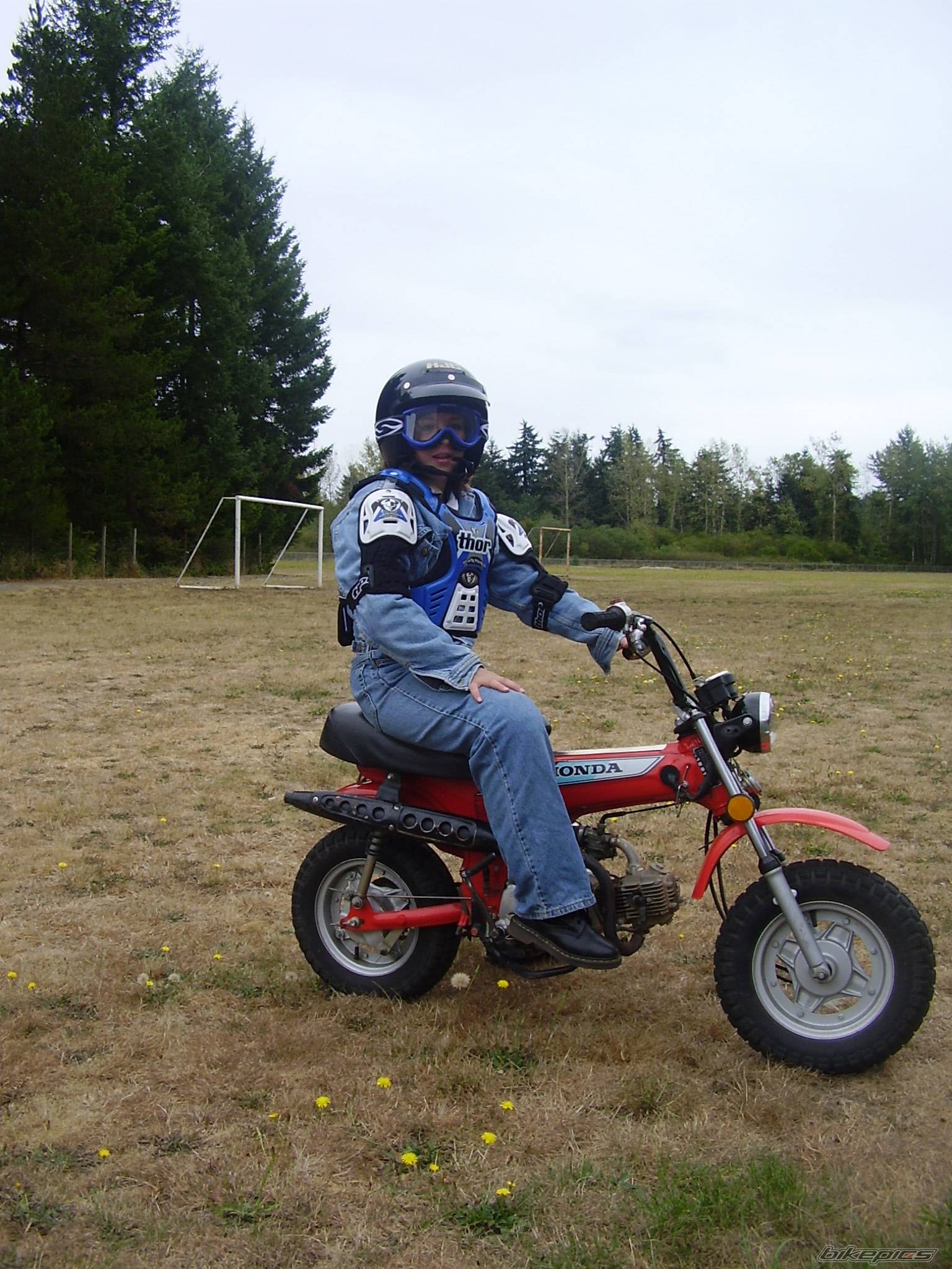 Photo 457876