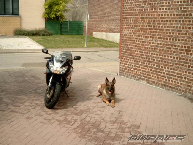 Bike Photo 457928