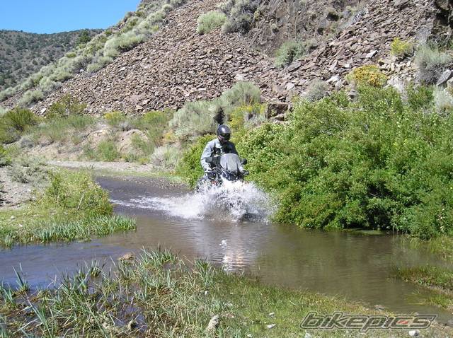 Photo 457958