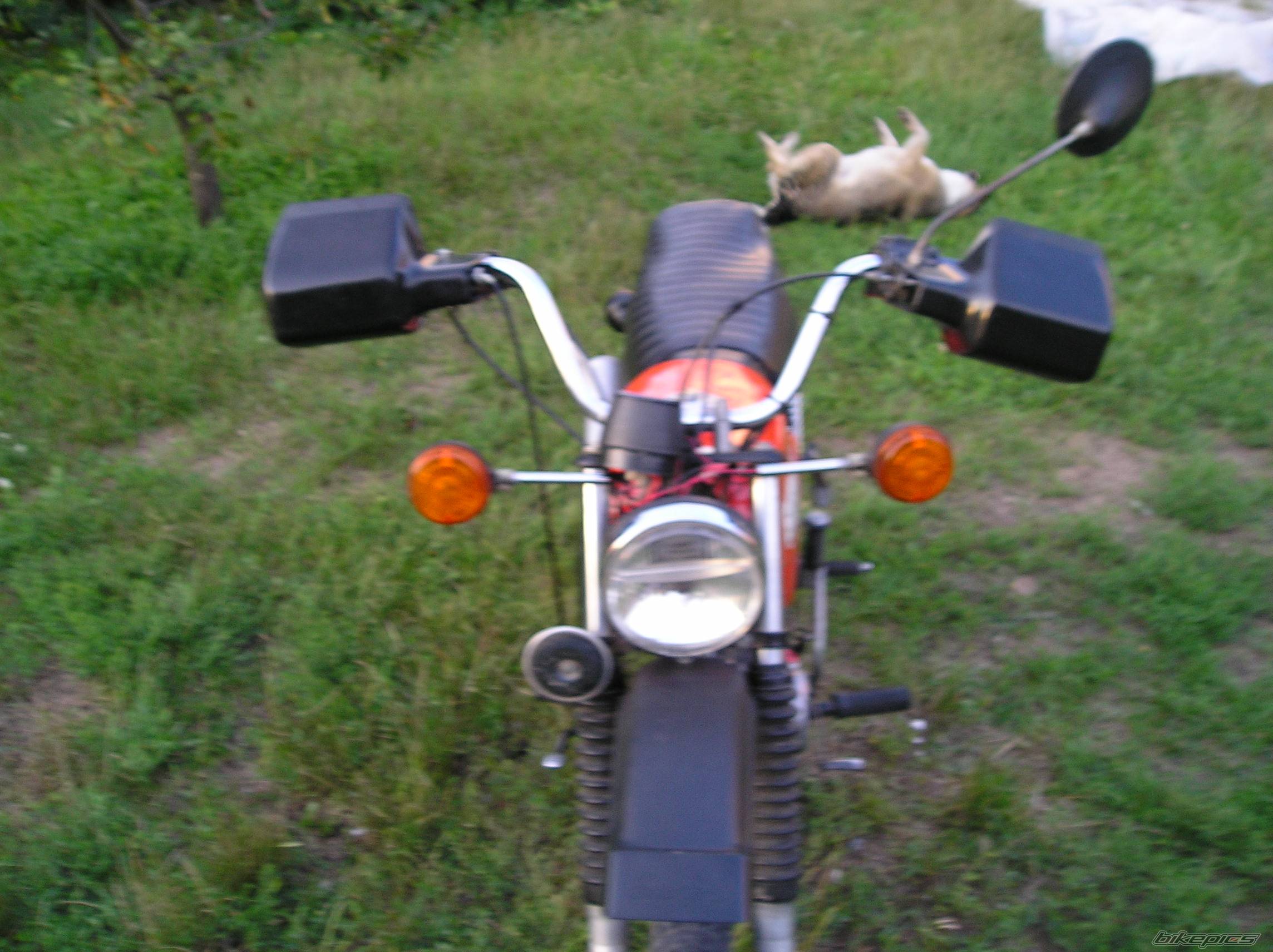 Bike Photo 458119