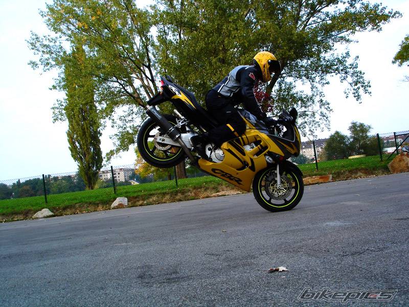 Photo 458232