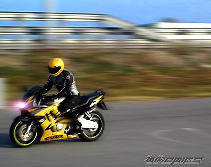 Photo 458241