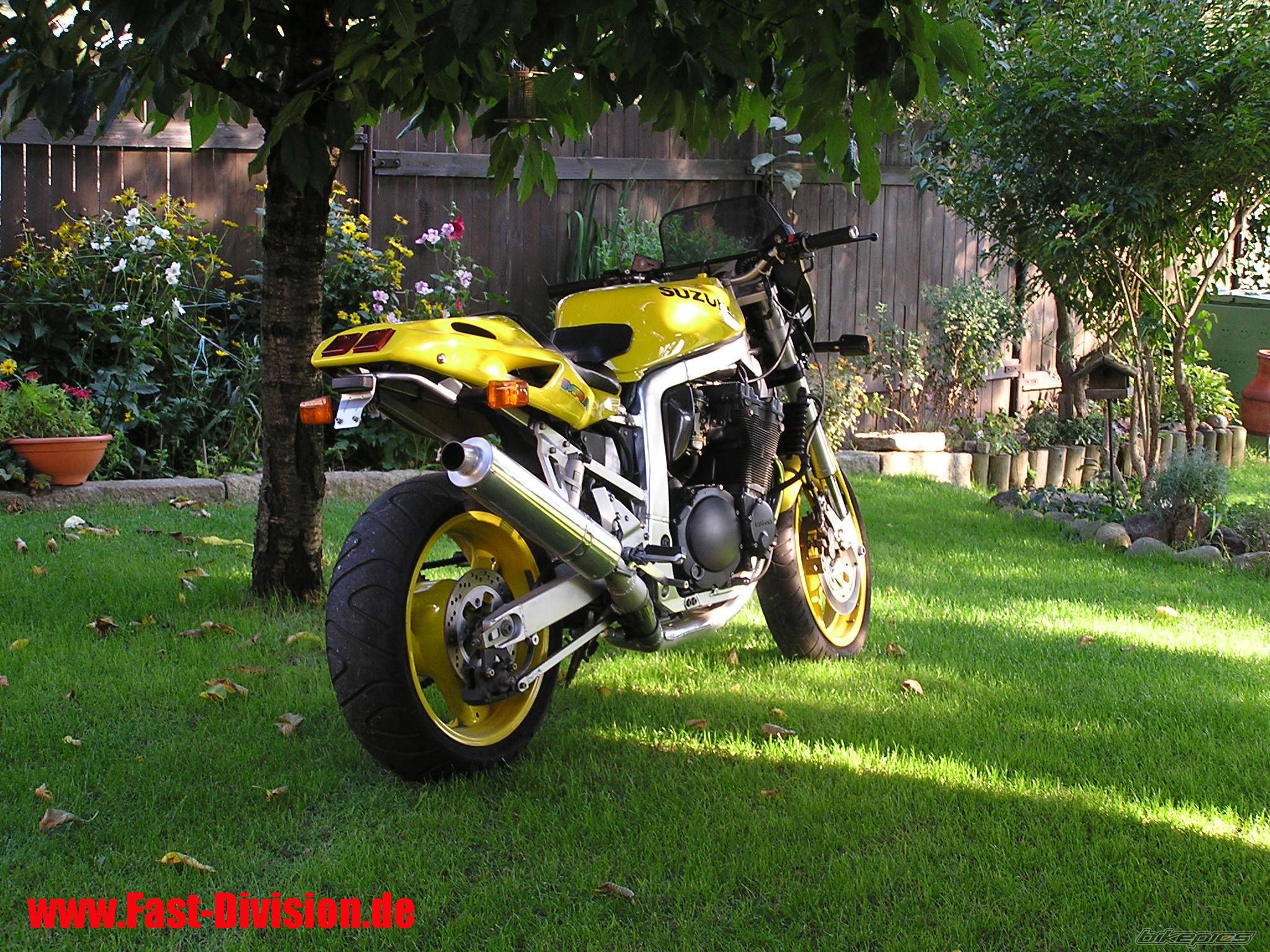Photo 458315