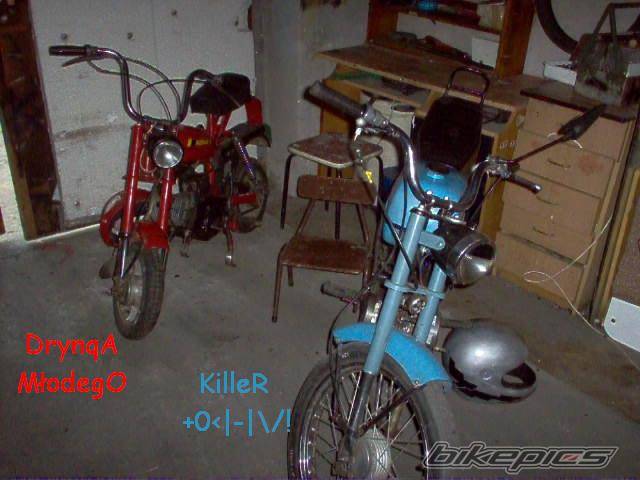 Photo 458448