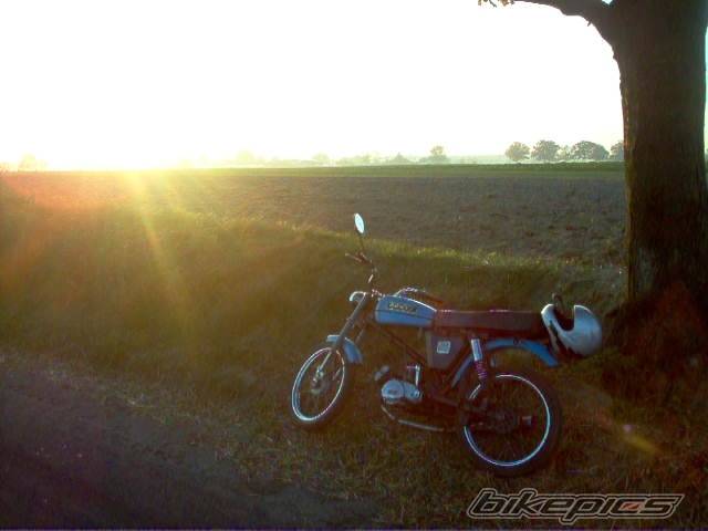 Photo 458449