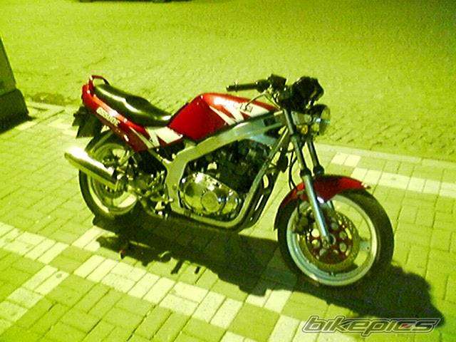 Photo 458520