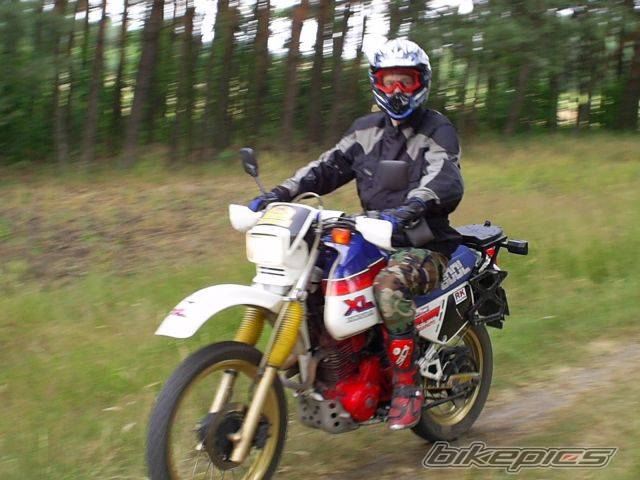 Photo 458578