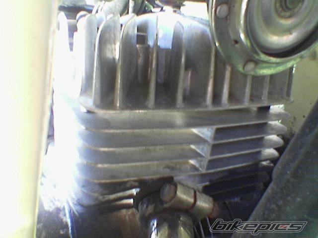 Photo 458661