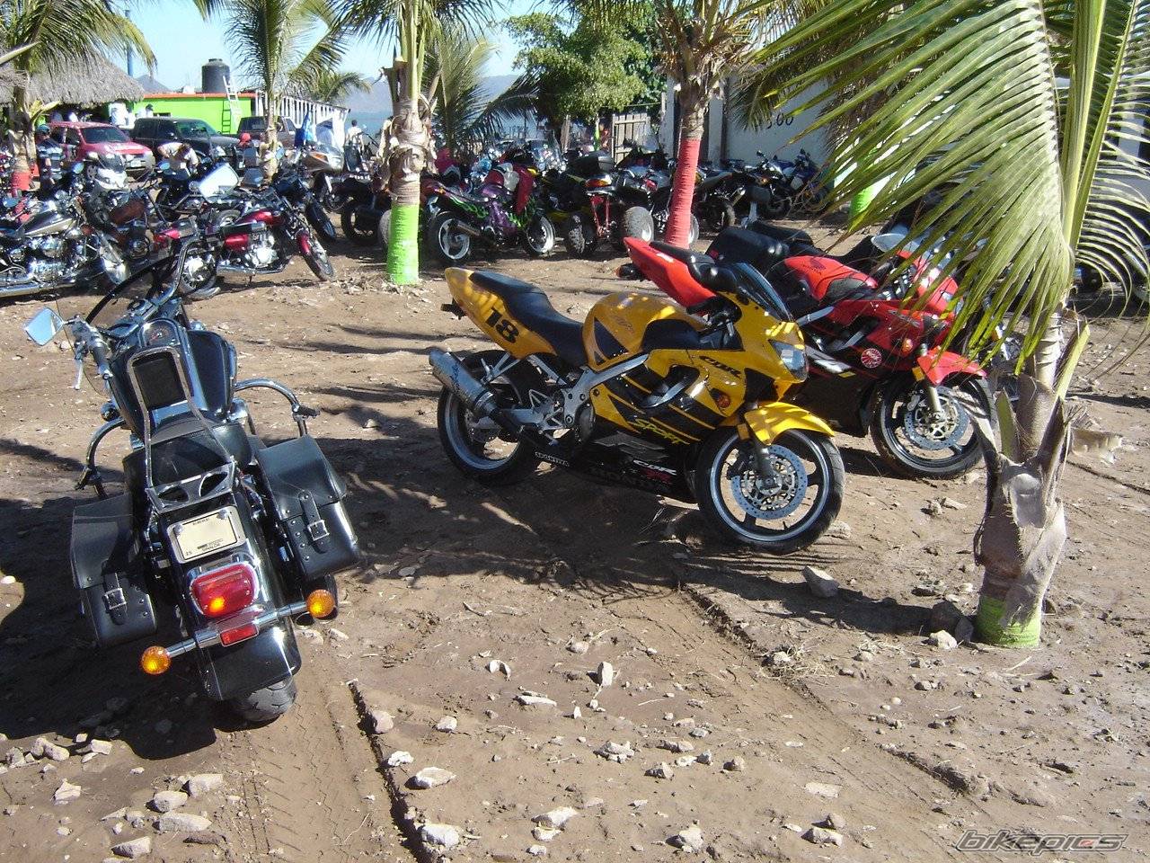 Bike Photo 458718
