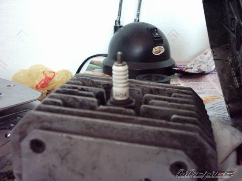 Photo 458743