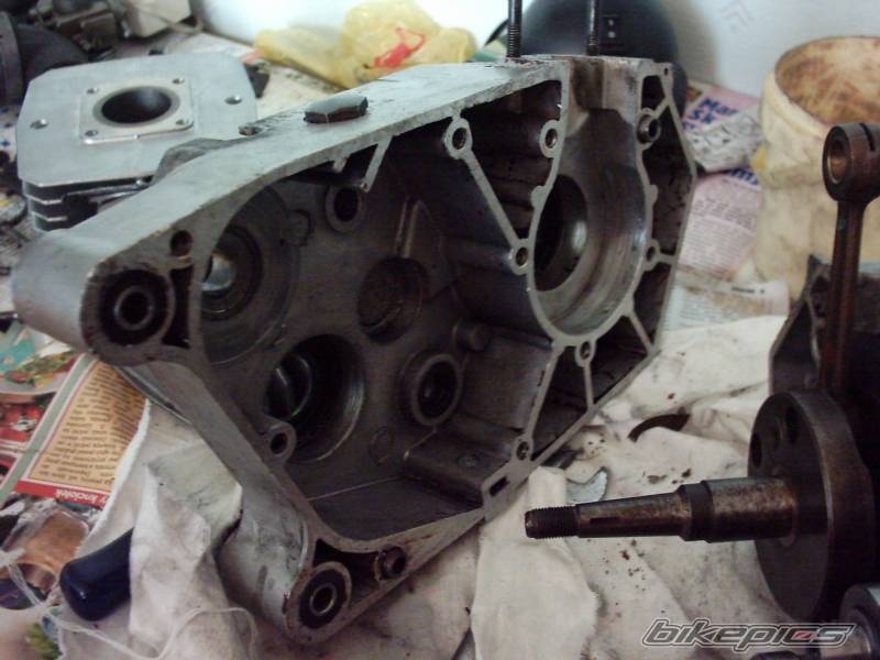 Photo 458750