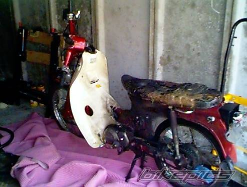 Bike Photo 458874