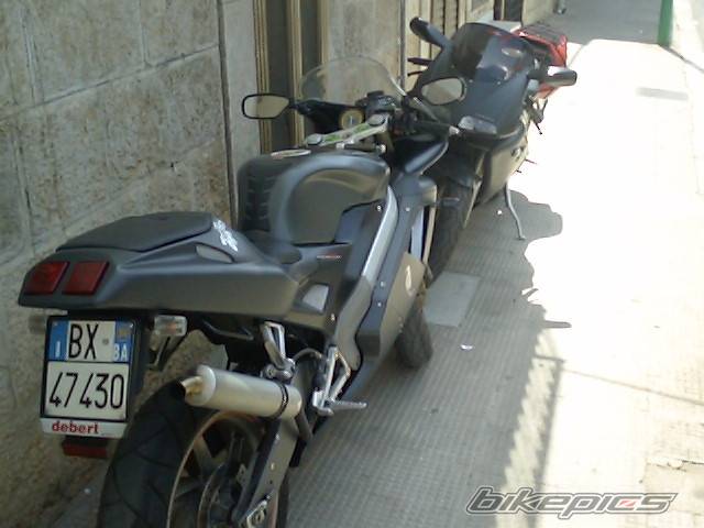Photo 459057