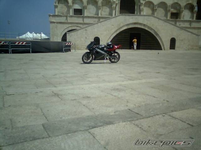 Photo 459059