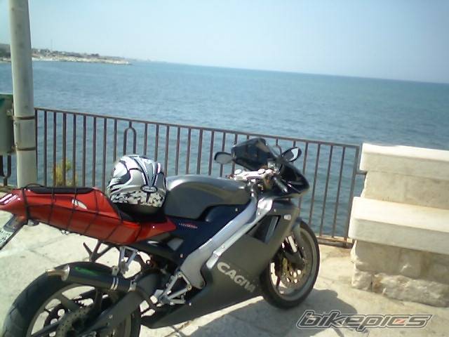 Photo 459064