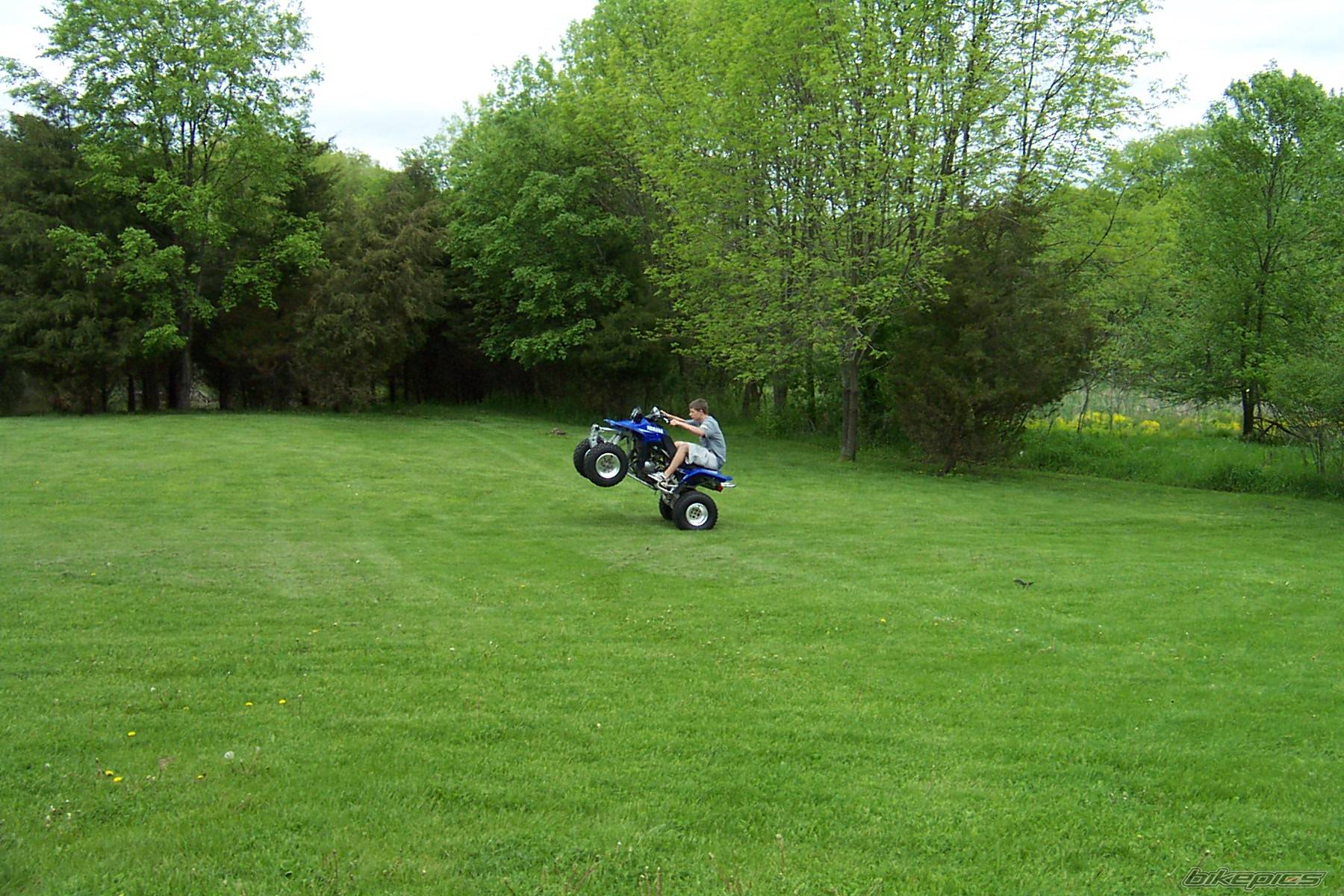 Bike Photo 45916