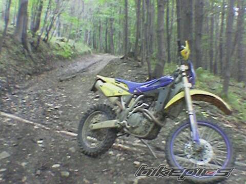 Photo 459185