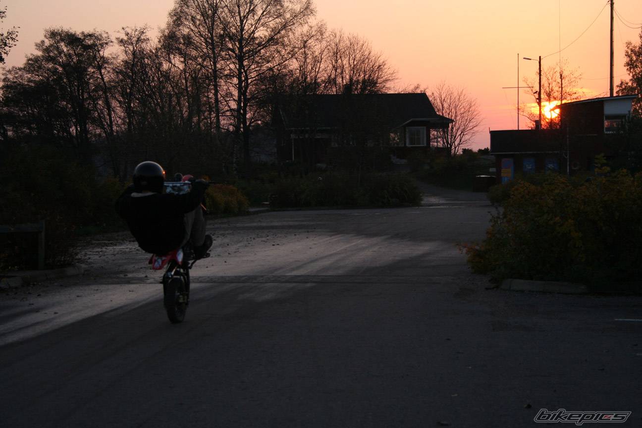 Photo 459263