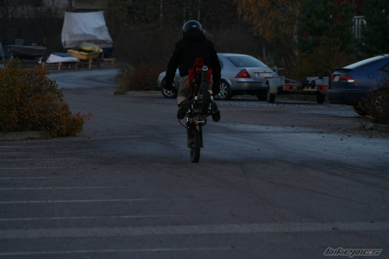 Photo 459266
