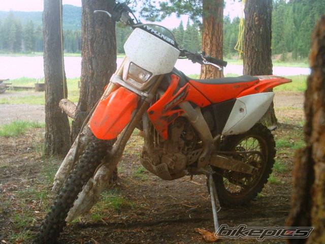 Photo 459277