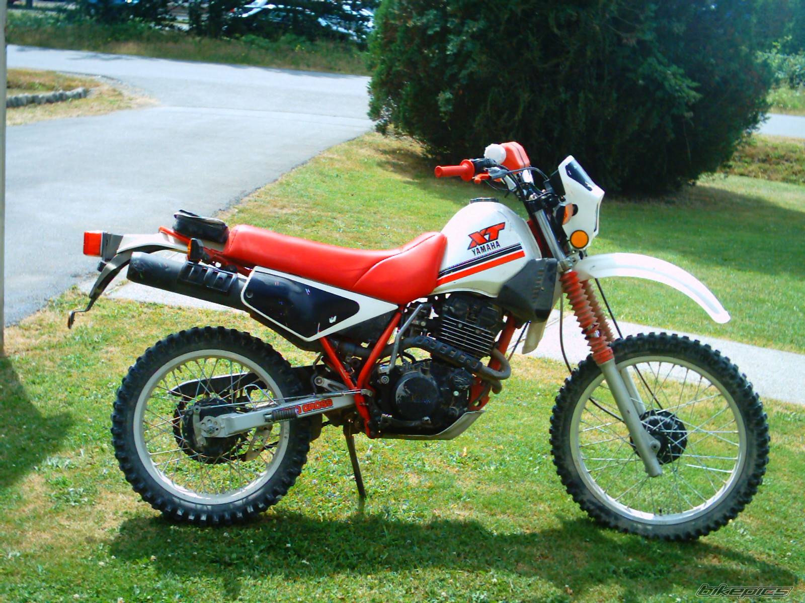 Photo 459287