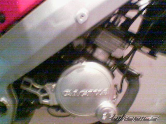 Photo 459320