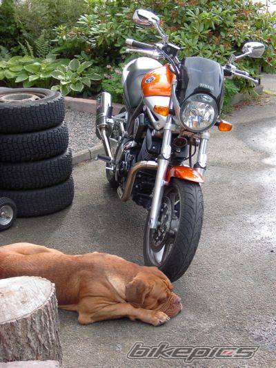 Photo 459347
