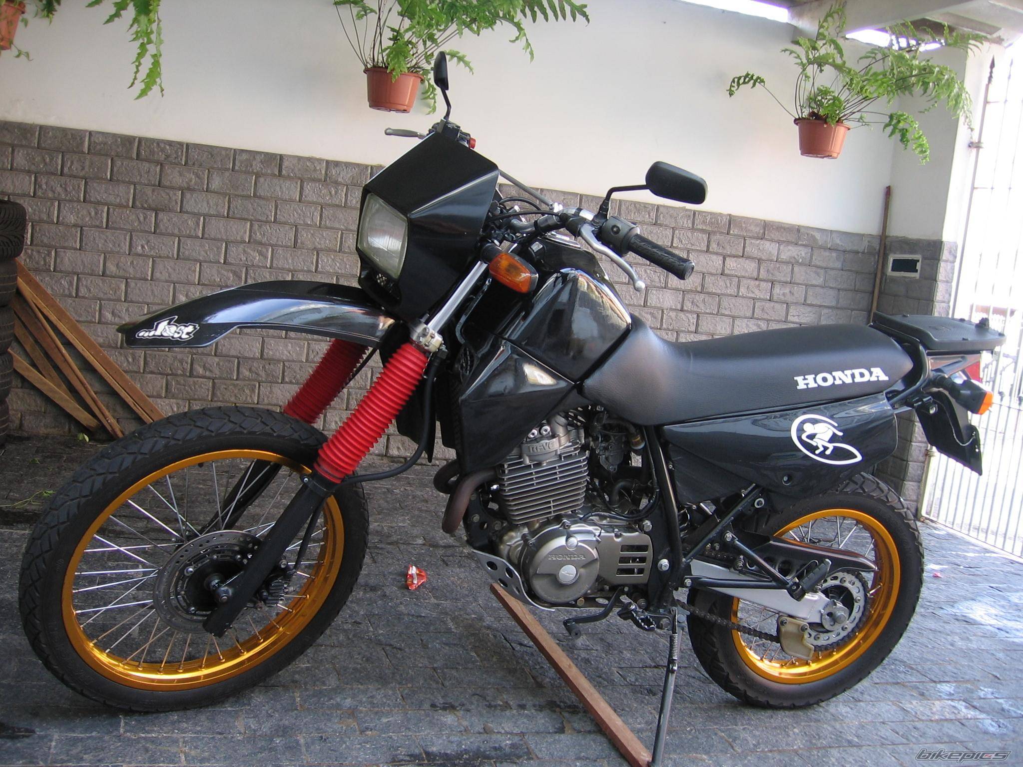 Bike Photo 459386