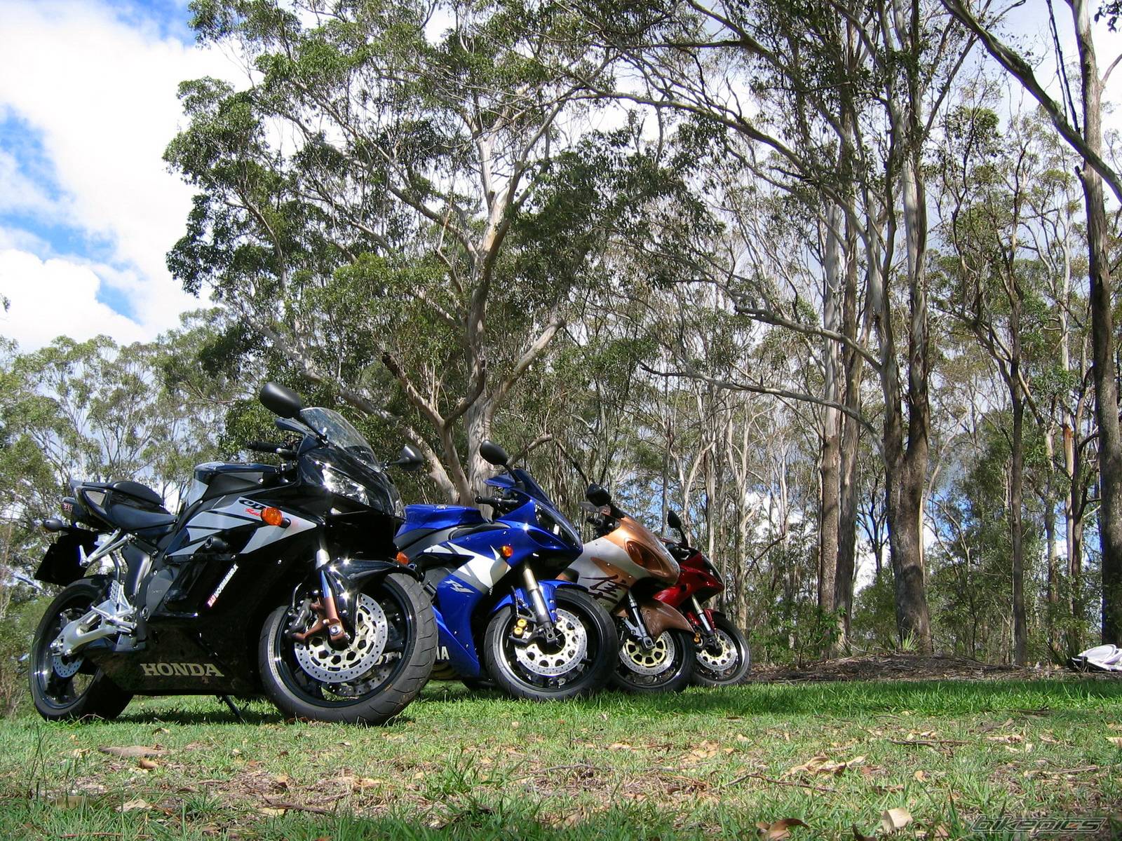 Bike Photo 459479