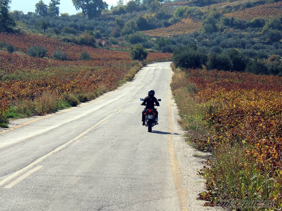 Bike Photo 459546