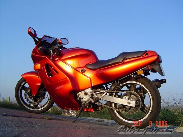 Photo 459643