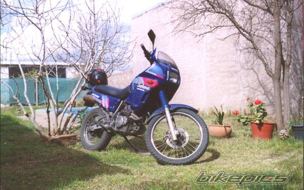 Photo 459684