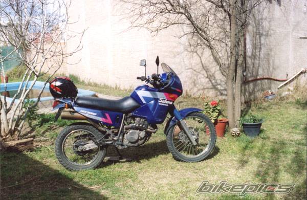 Photo 459689