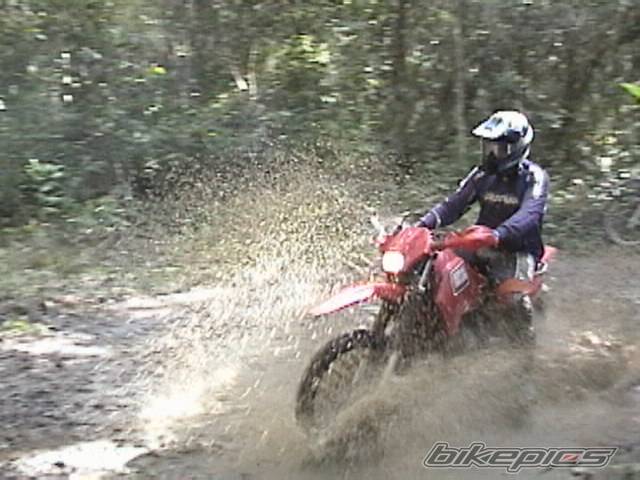 Photo 459799