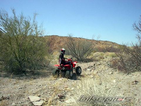 Photo 45998