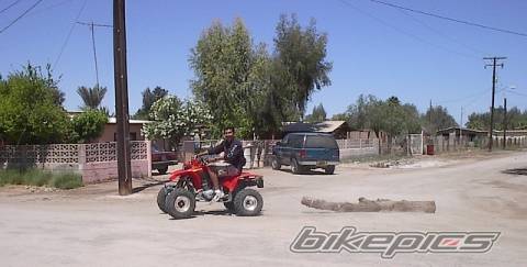 Photo 45999