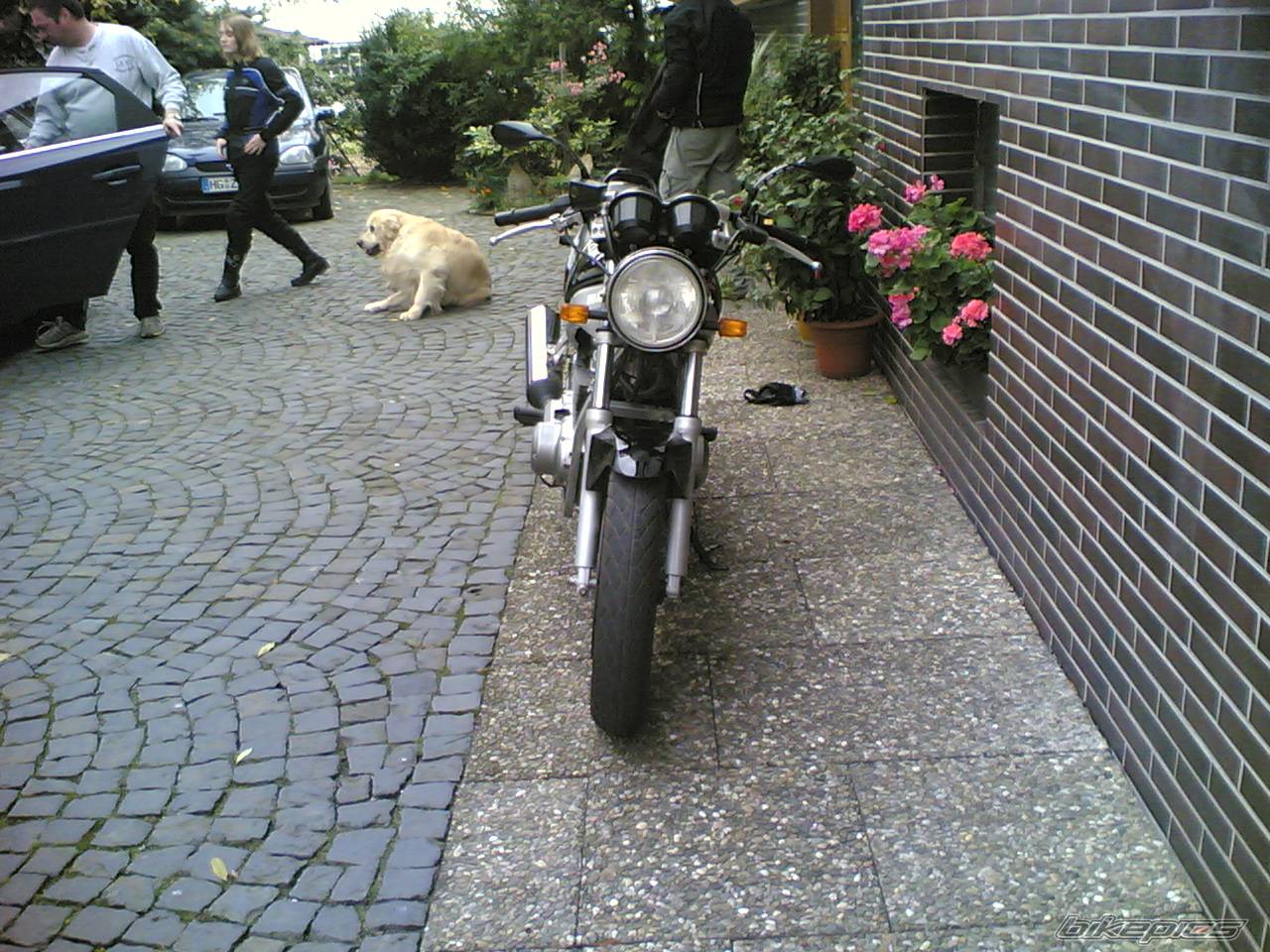 Photo 460048