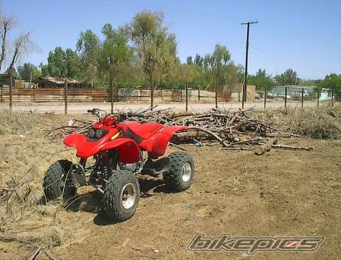 Photo 46005