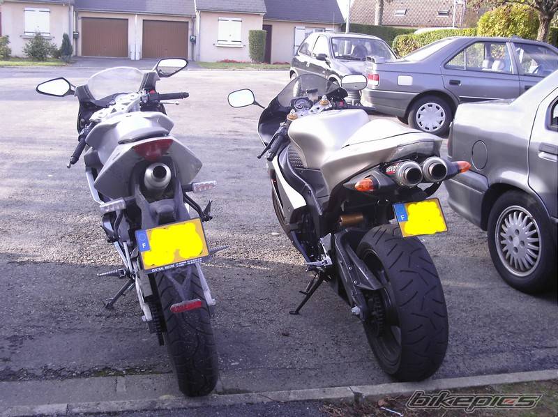 Photo 460073