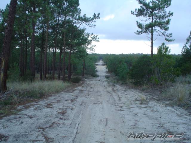 Photo 460114