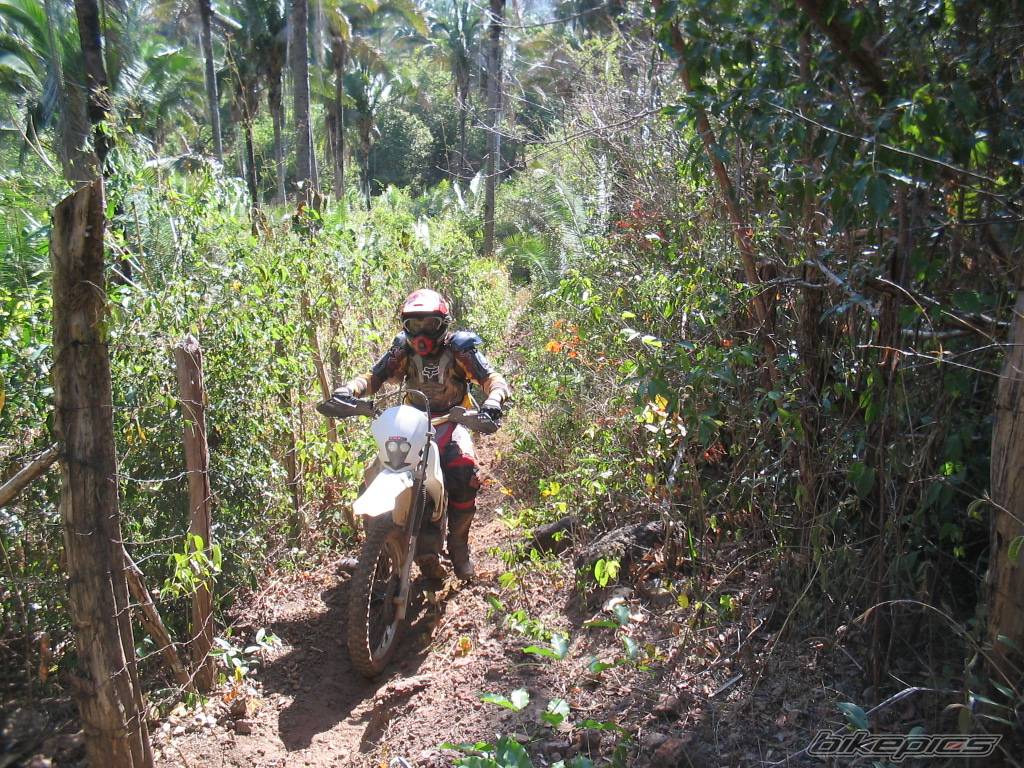 Bike Photo 460115