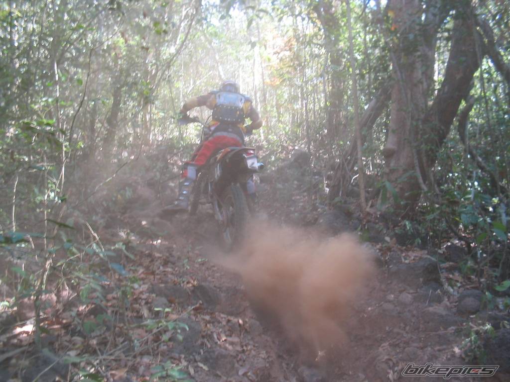 Bike Photo 460120