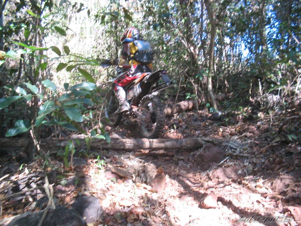 Bike Photo 460122