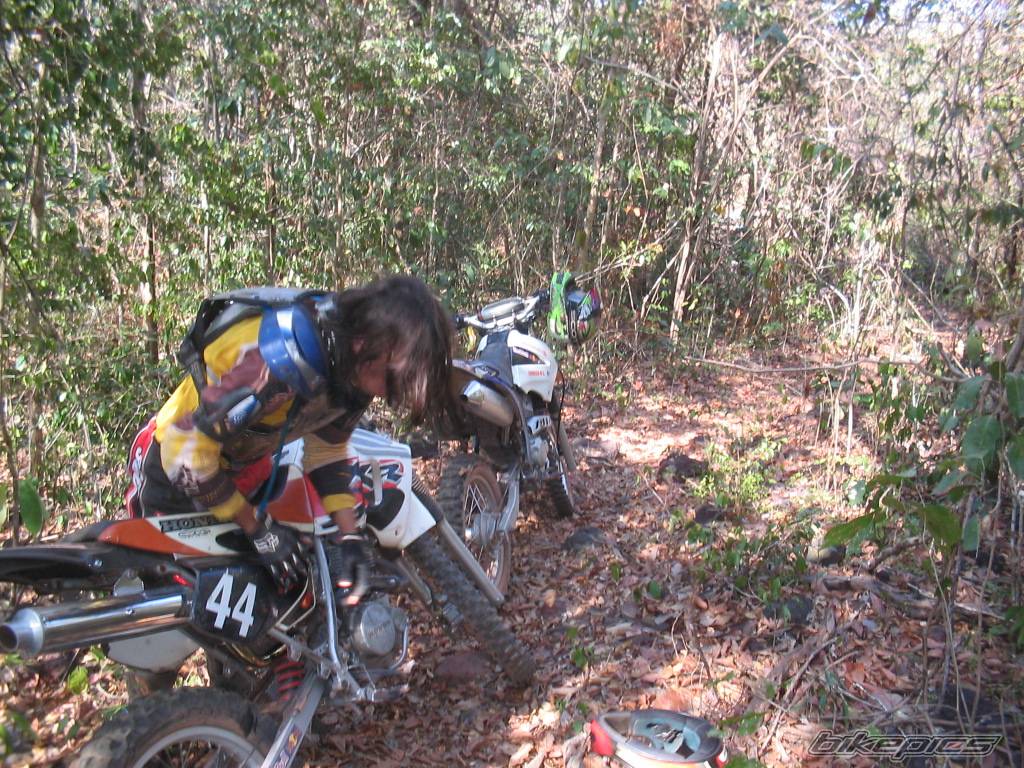 Bike Photo 460125
