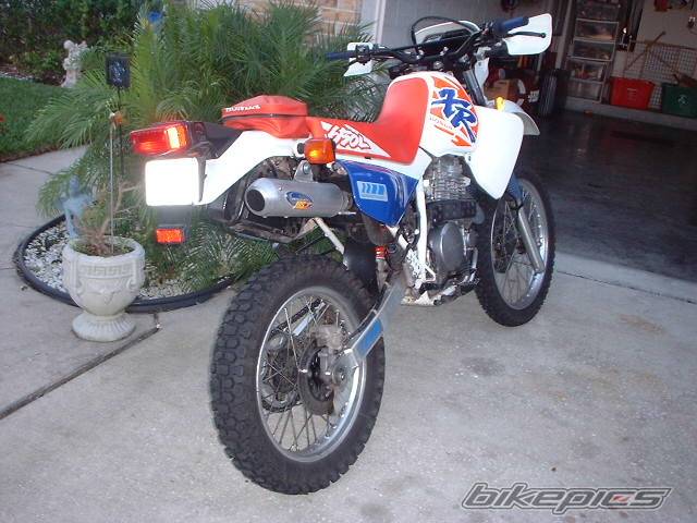 Photo 46033