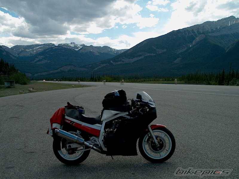 Bike Photo 4604