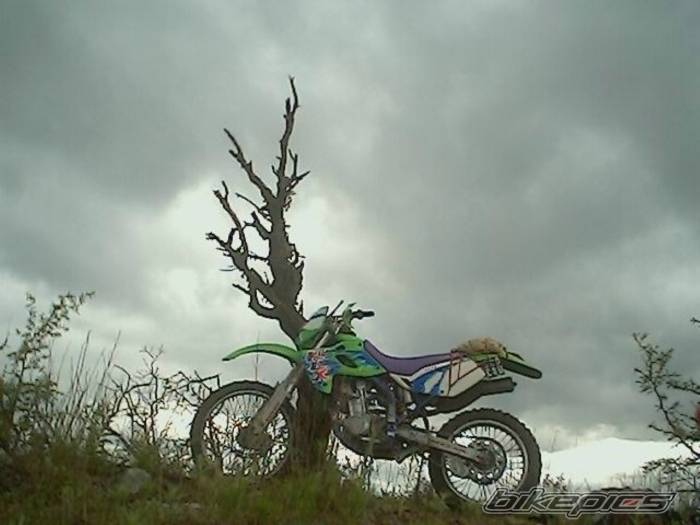 Bike Photo 460600
